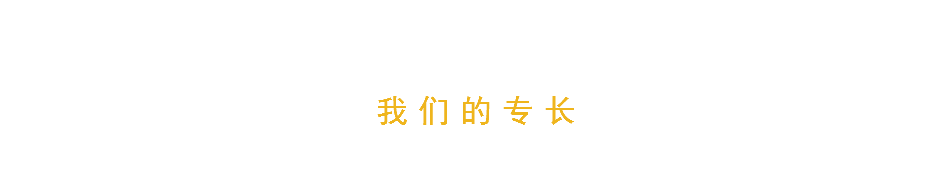 我们的专长