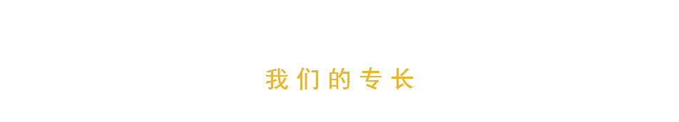 我们的专长